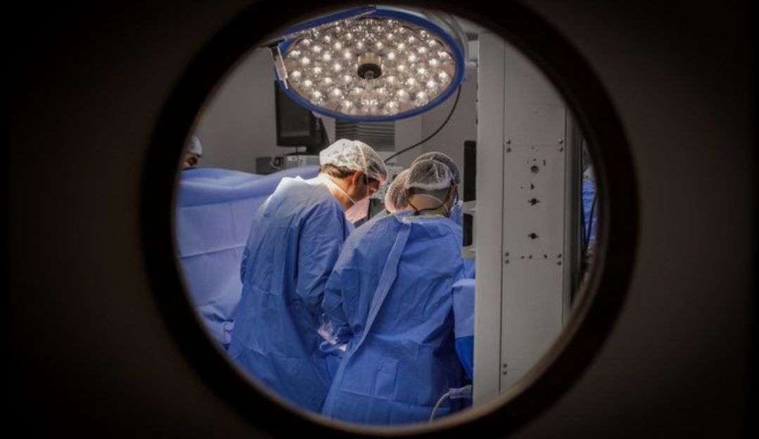 Brasil é o segundo país que mais realiza transplantes