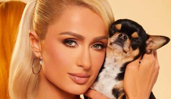 Paris Hilton consultou 7 médiuns para saber paradeiro de cachorra desaparecida Lorena Bueri