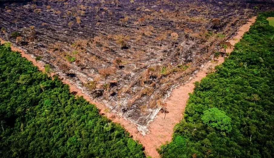 Registro de desmatamento amazônico é o pior da história no mês de setembro