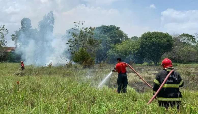 Família provoca incêndio em cemitério após soltar fogos durante enterro  Lorena Bueri