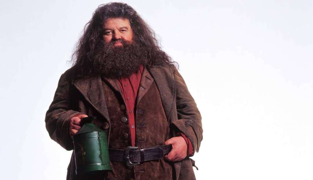 Atores de Harry Potter lamentam a morte do intérprete de 'Hagrid'