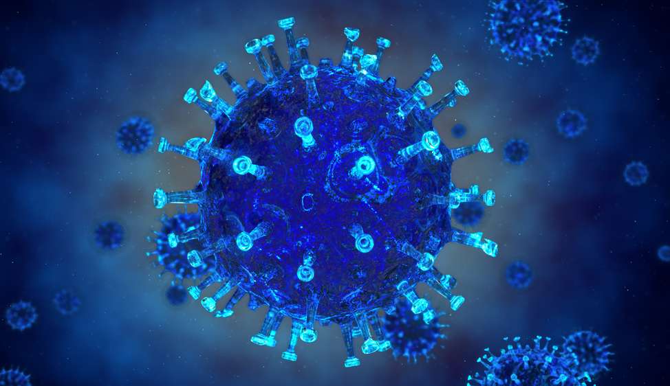 Vírus sincicial respiratório: conheça o vírus que tem causado preocupação nos EUA