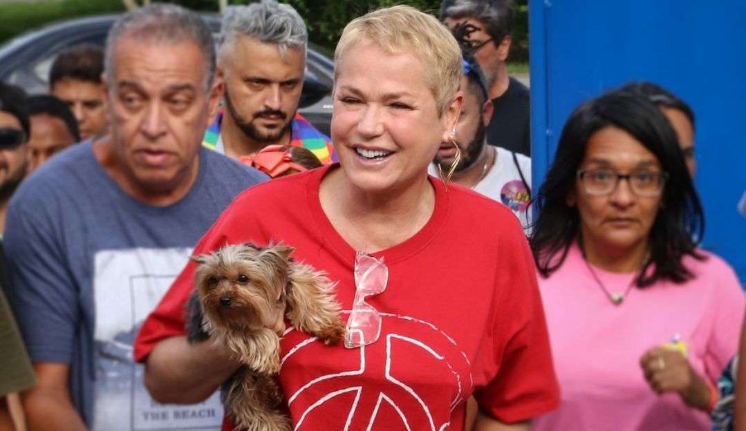 Xuxa Meneghel vota com cachorrinho no Rio de Janeiro