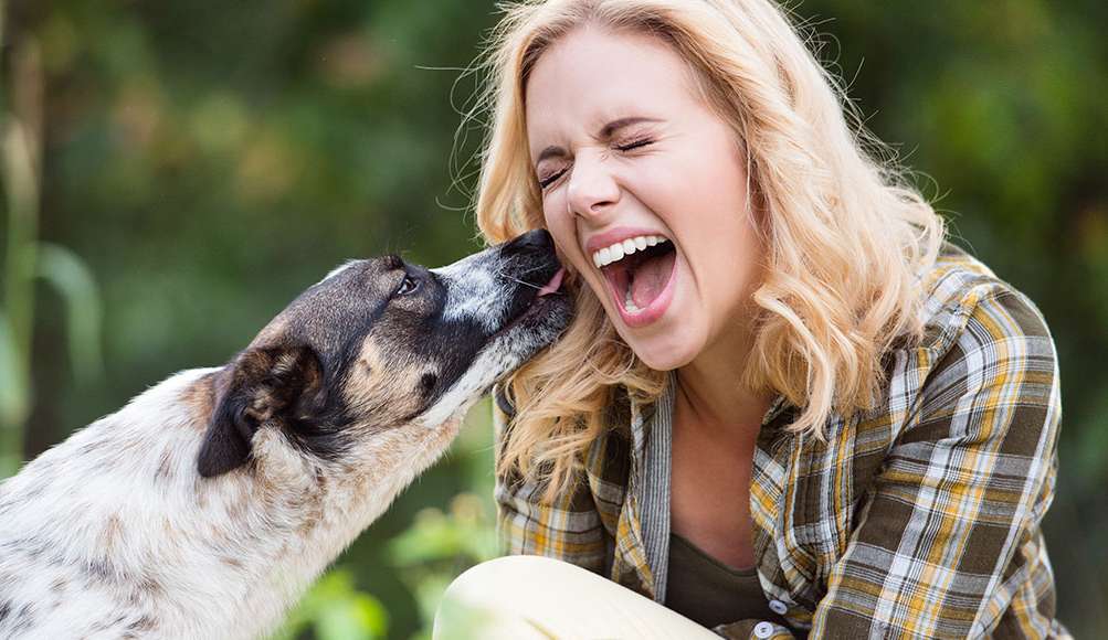 Convivência com pets pode melhorar níveis de estresse, aponta estudo Lorena Bueri