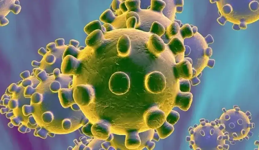 Coronavírus: O que você precisa saber e como prevenir 