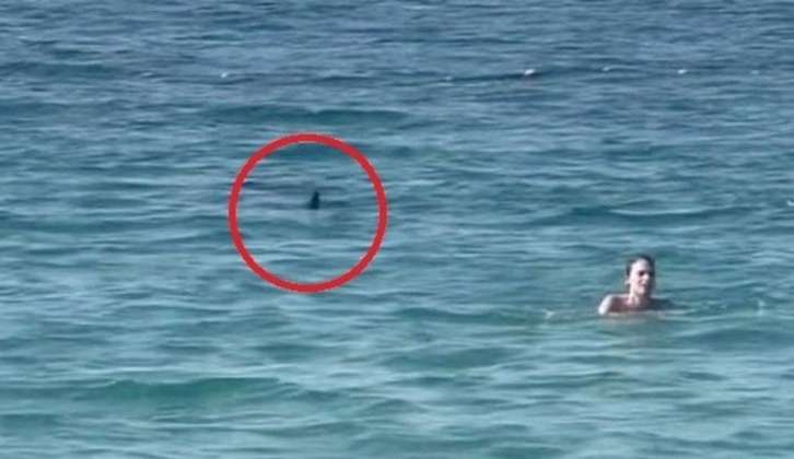 Banhista não vê tubarão nadando em sua volta e escapa com ajuda de salva-vidas