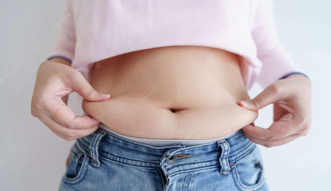 Gordura acumulada na barriga pós-menopausa? Veja alimentos e hábitos que irão te ajudar Lorena Bueri