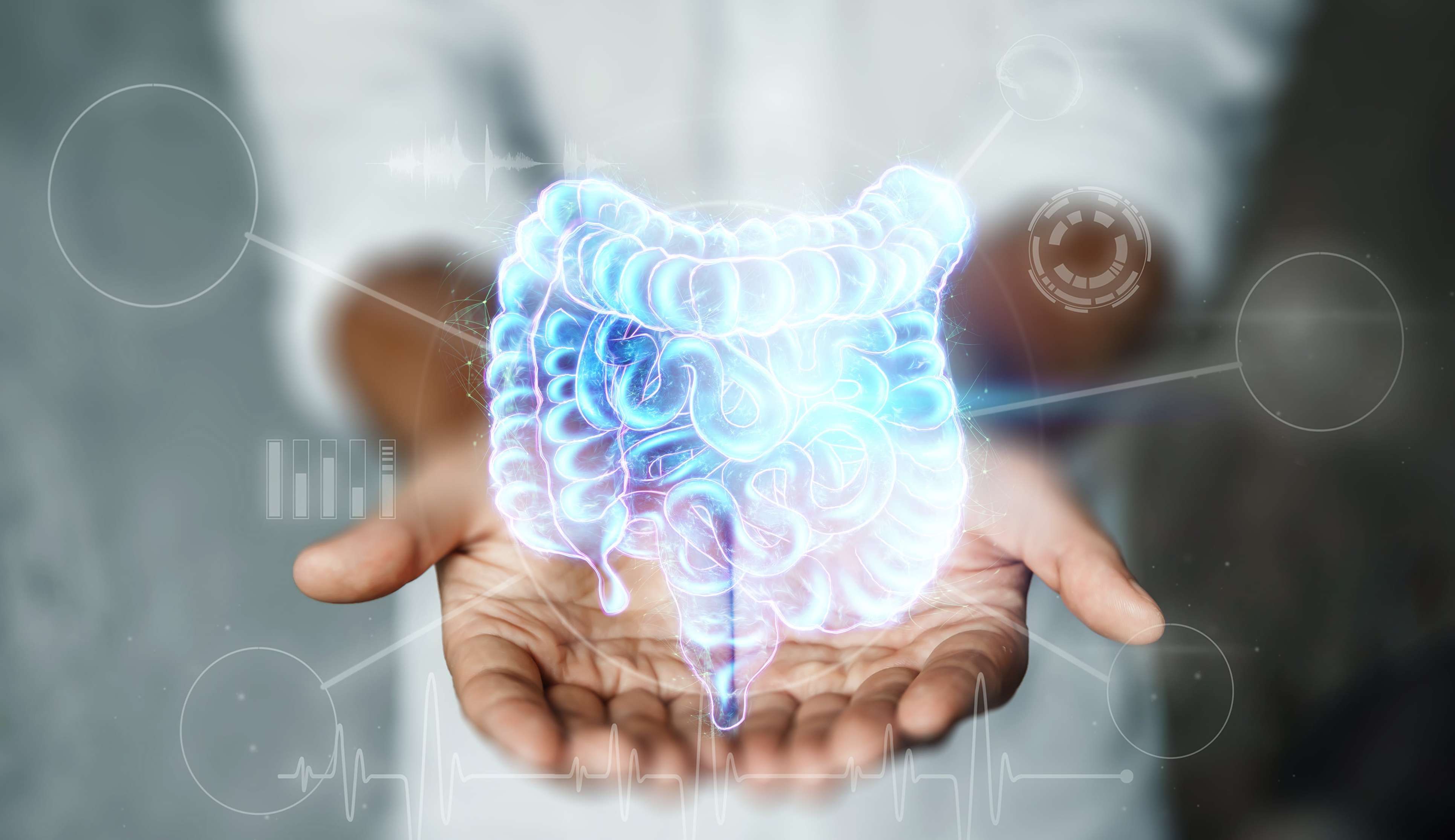 Saúde intestinal: qual a importância e como alcançar? Lorena Bueri