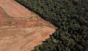 Desmatamento da Floresta Amazônica tem maior alta significativa no governo Bolsonaro Lorena Bueri