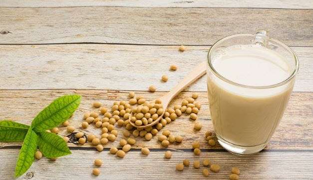 Como a proteína de soja contribui para uma dieta equilibrada?
