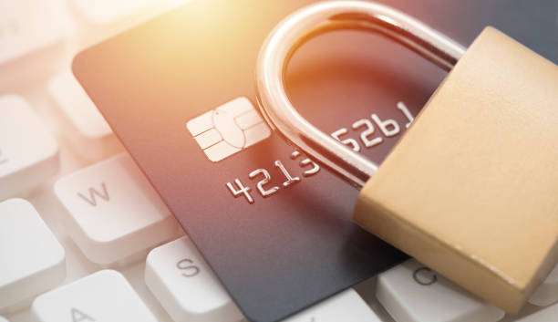 Como evitar fraudes em compras online? Lorena Bueri