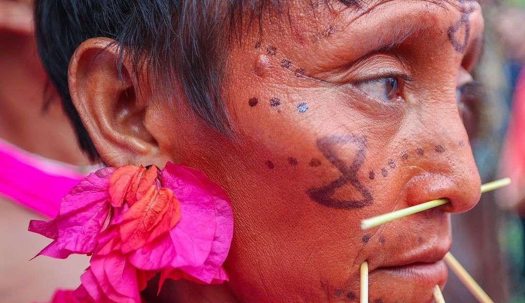 Genocídio também pode ocorrer por omissão, diz Nísia Trindade sobre Terra Yanomami