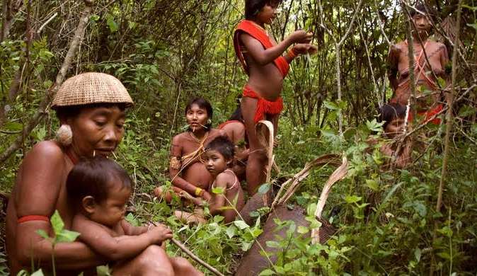 Gestão acusa governo Bolsonaro em falha quanto a questões indígenas
