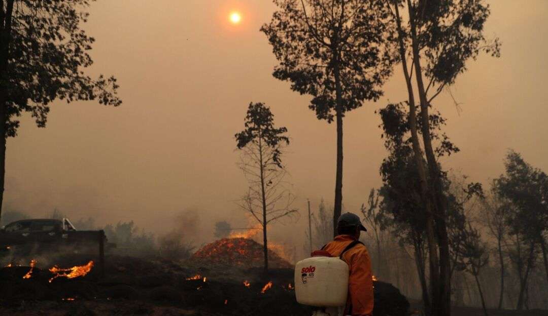 Incêndios florestais no Chile deixam mais de 20 mortos Lorena Bueri