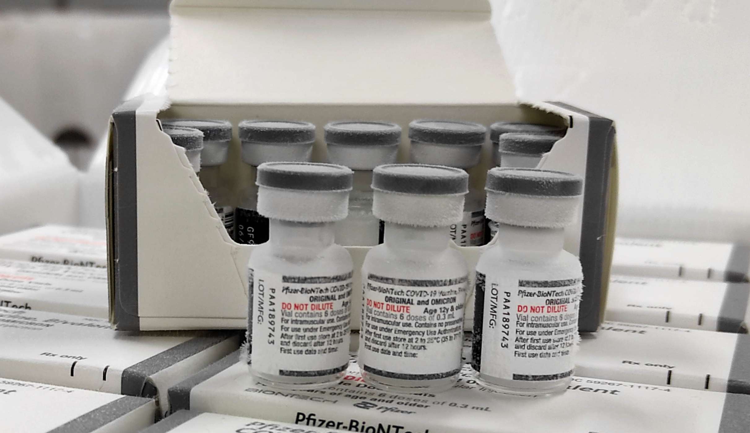 Chega ao Paraná as primeiras doses da vacina bivalente contra a COVID-19 Lorena Bueri