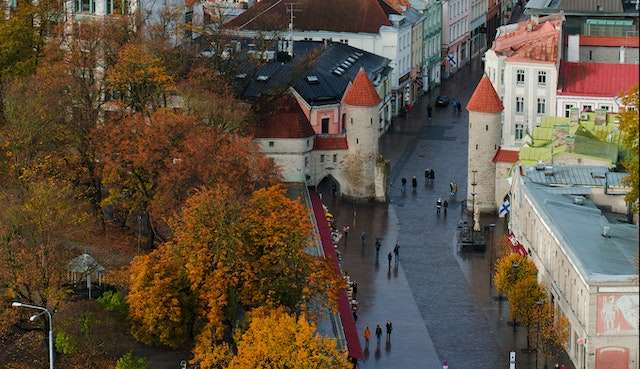 Estônia permite criação e gerenciamento de empresas para residência digital
