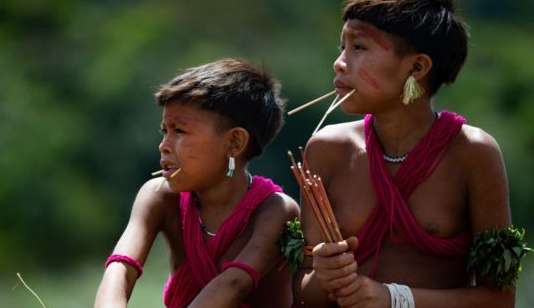 78% das crianças Yanomami saíram da desnutrição grave, após monitoramento médico