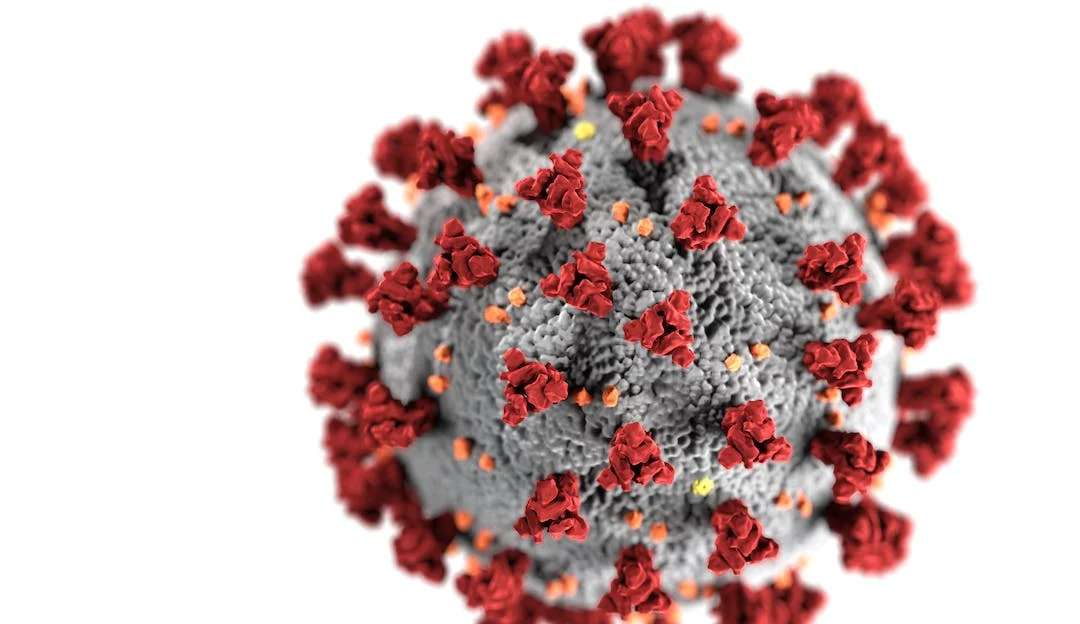Imunidade causada pela infecção por Covid-19 permanece alta por quase um ano, diz estudo Lorena Bueri