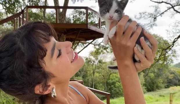 Bruna Marquezine e Enzo Celulari adotam gata: ‘Coisa mais linda’, diz o empresário  Lorena Bueri