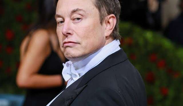 Elon Musk pede desculpas  após debochar de ex-funcionário demitido Lorena Bueri