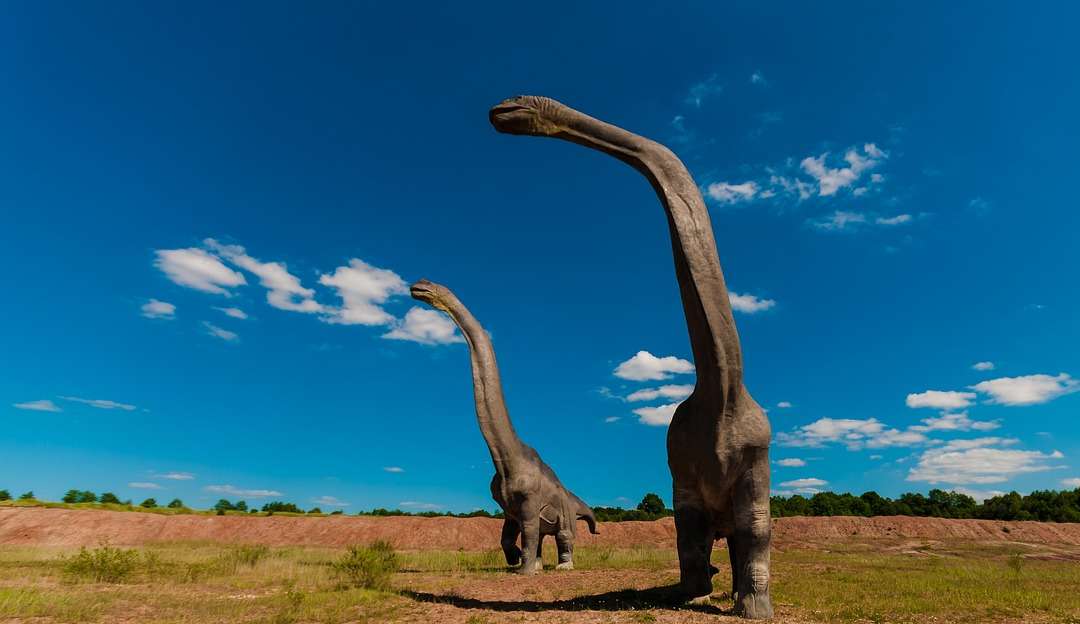 Pesquisa da Unicamp aponta período em que surgiu característica responsável por gigantismo dos dinossauros