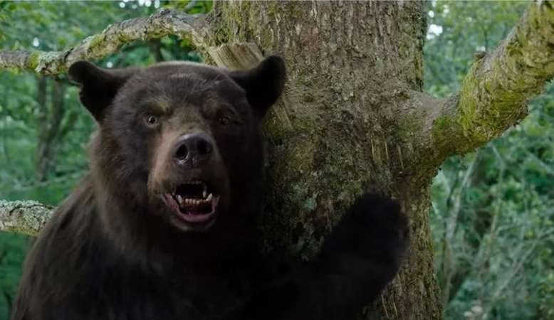 Urso do Pó Branco: Elizabeth Banks fala sobre novo filme