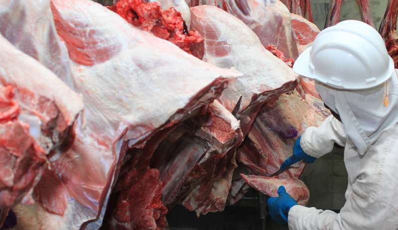 Brasil volta a exportar carne para Rússia após encerramento de restrições Lorena Bueri