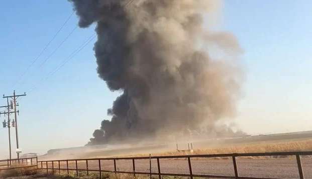 Explosão em fazenda no Texas deixa mais de 18 mil vacas mortas