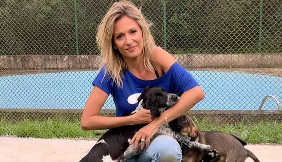 Luisa Mell denúncia golpe após mudança de nome em instituto: ‘Não sou bilionária' Lorena Bueri