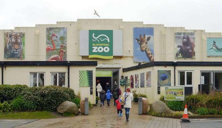 Curiosa vaga de emprego em zoológico inglês chama a atenção  Lorena Bueri