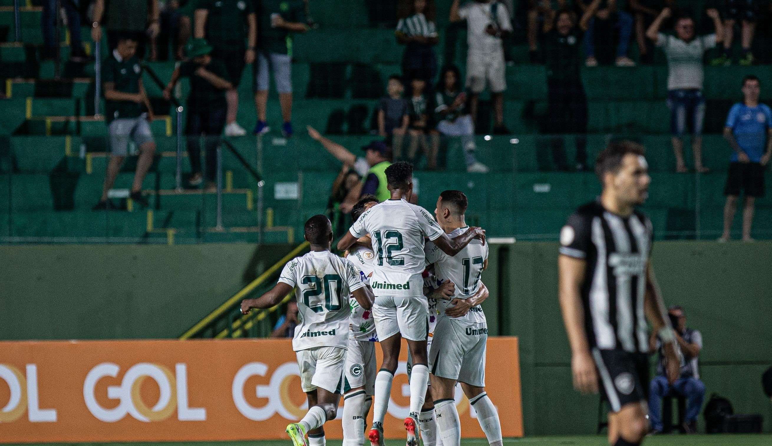 Goiás acaba com invencibilidade do Botafogo de virada