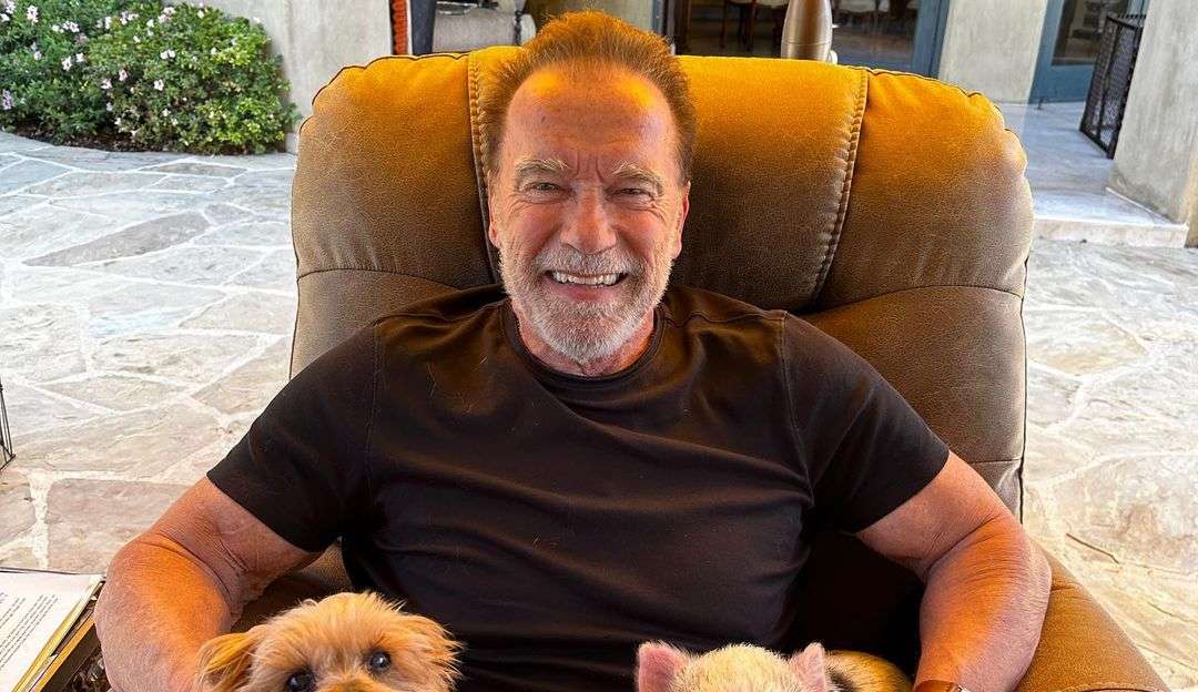 Arnold Schwarzenegger não pretende voltar a gravar 'O Exterminador do Futuro' Lorena Bueri