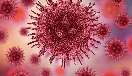 Sintomas da gripe aviária em humanos: Quais são eles?