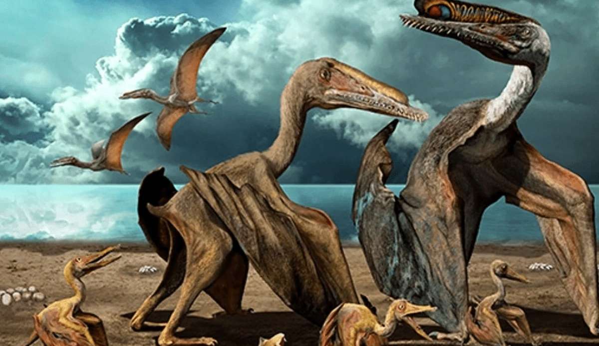 Fósseis de pterossauro descobertos na Austrália apontam que répteis viveram na região durante a Pré-História Lorena Bueri