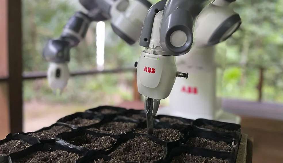 Robô pode ser solução para reflorestamento da Floresta Amazônica Lorena Bueri