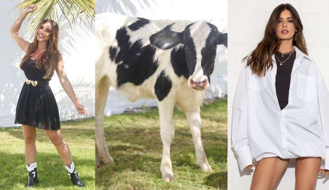 Nicole Bahls nomeia vaca com nome de Camila Queiroz e atriz reage Lorena Bueri