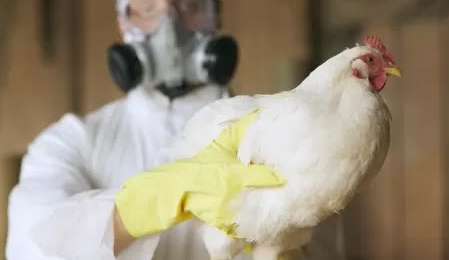 Primeiro caso de gripe aviária em animal doméstico é confirmado no Espírito Santo Lorena Bueri