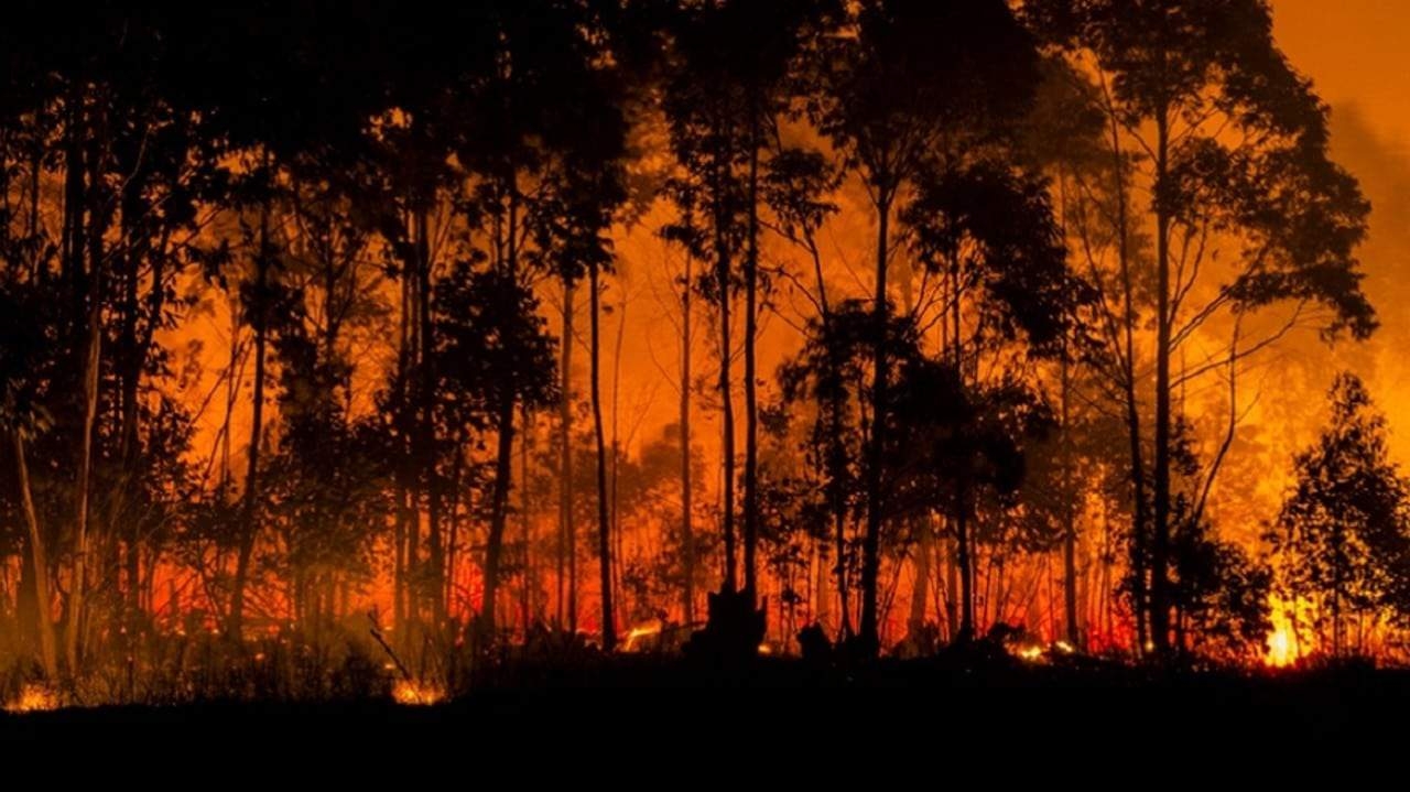 Brasil envia combatentes para enfrentar incêndios no Canadá Lorena Bueri
