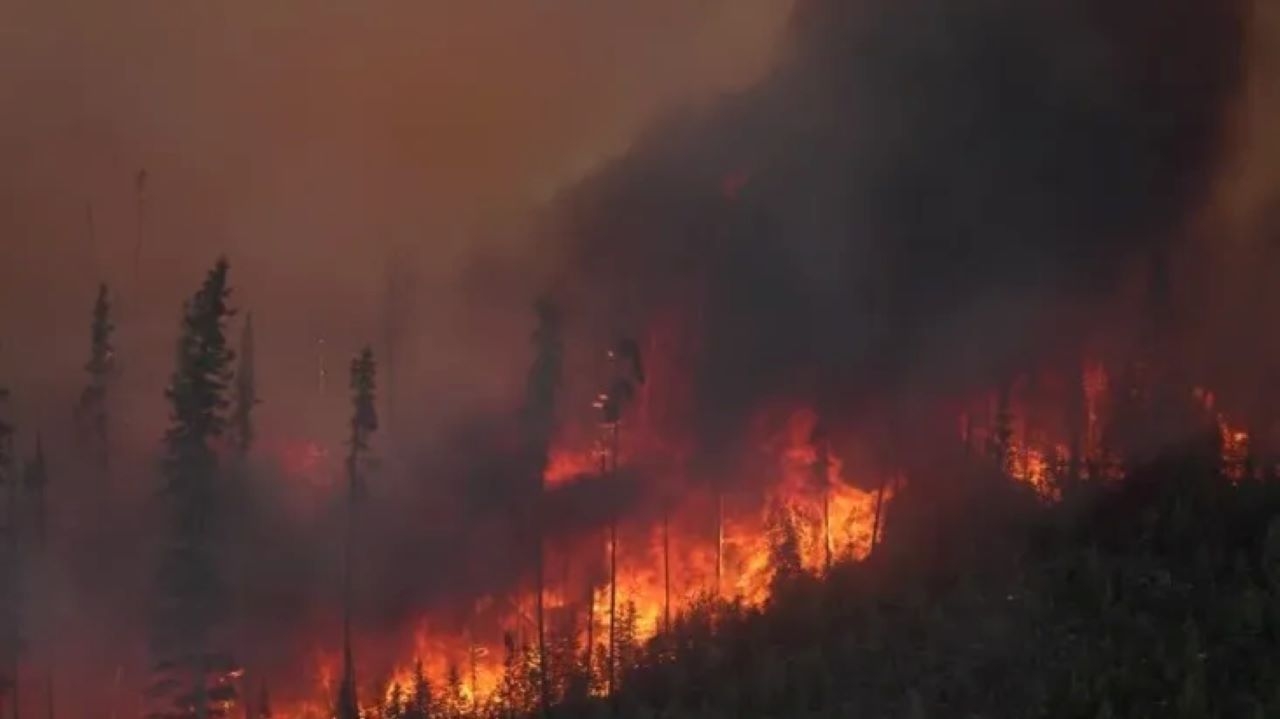 The Canadian government ordered the evacuation of Osoyoos after a forest fire crossed the US border