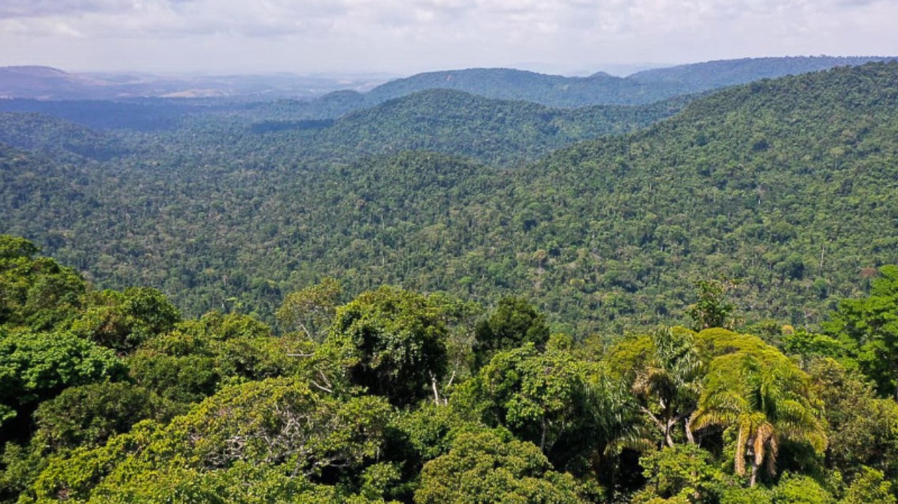 Cúpula da Amazônia visa, em declaração, acabar com o crime organizado na região Lorena Bueri