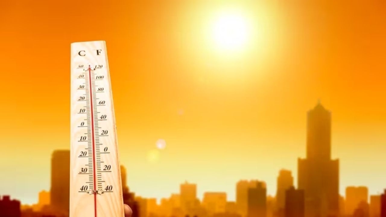 Julho é o mês mais quente registrado na história do planeta Lorena Bueri
