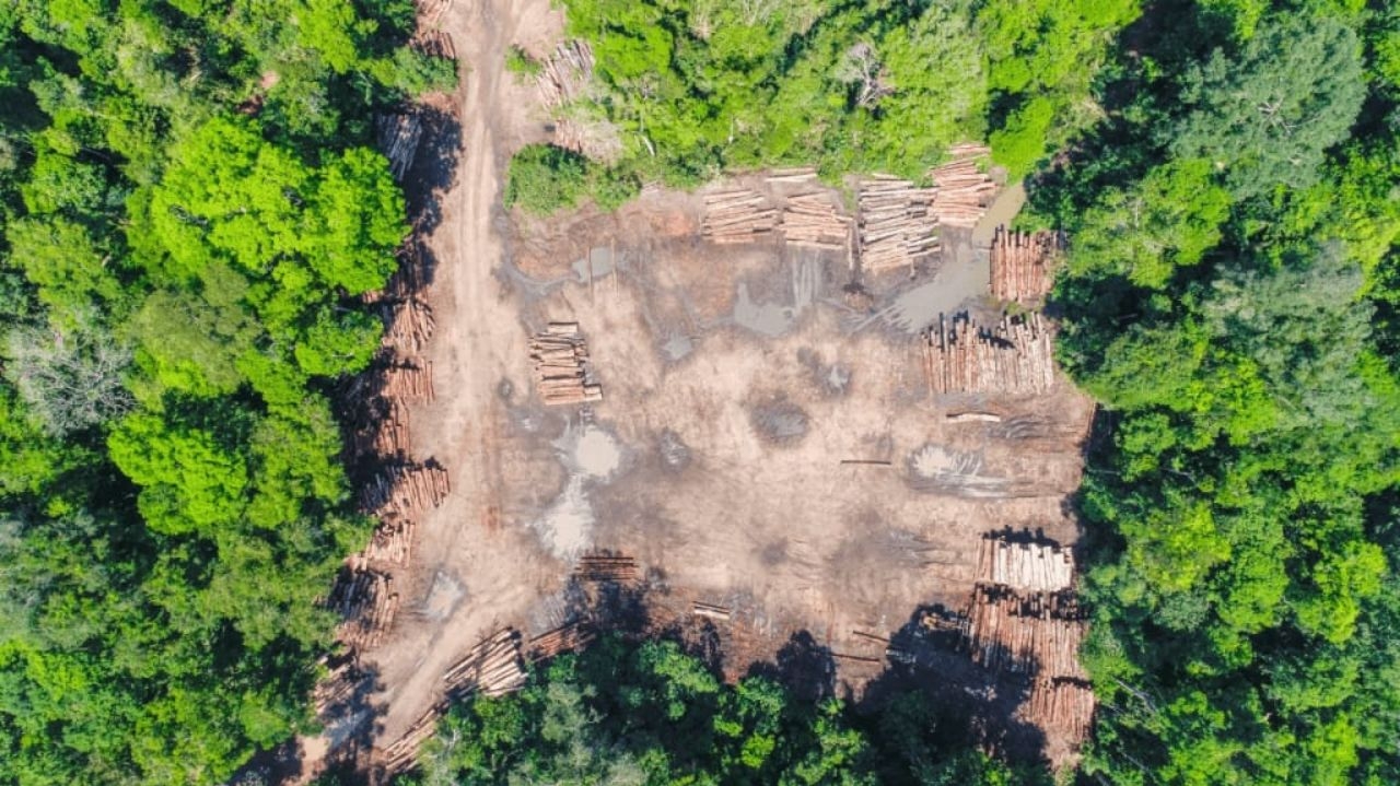 MapBiomas revela que a Amazônia perdeu cerca de 17% de sua cobertura nativa Lorena Bueri