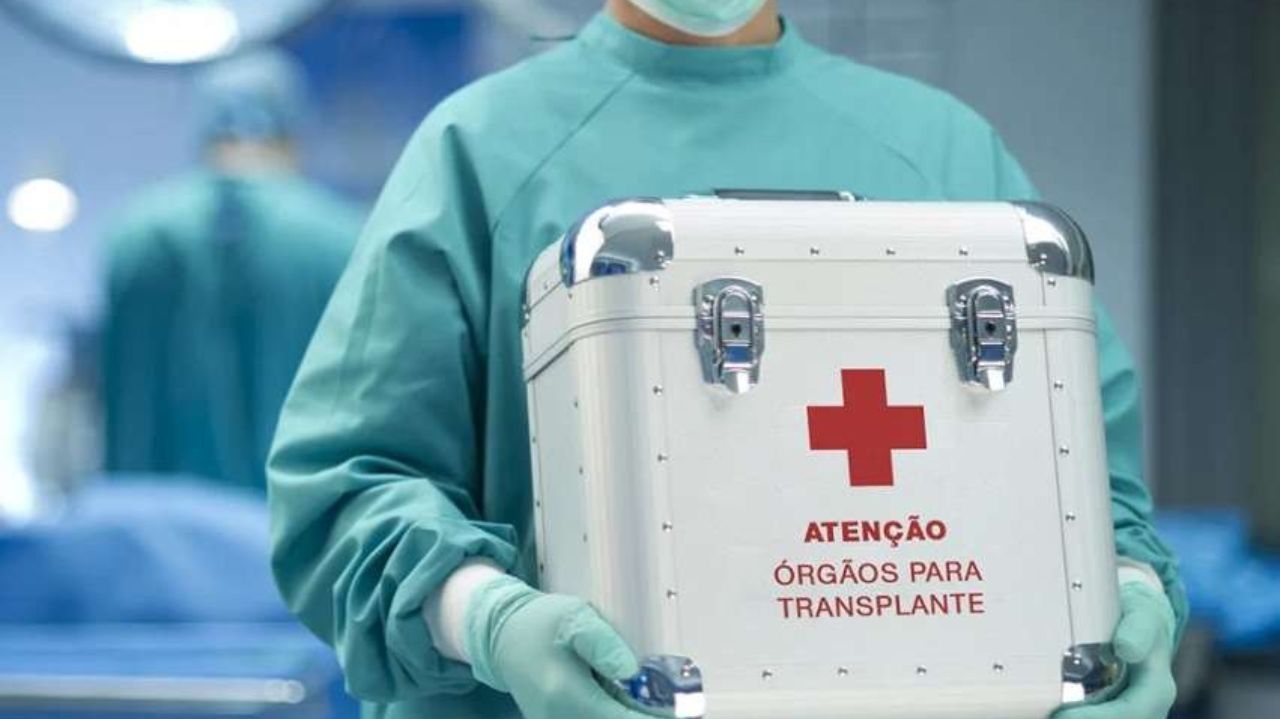 65 mil brasileiros estão na fila por órgãos, enquanto 386 aguardam por um coração Lorena Bueri