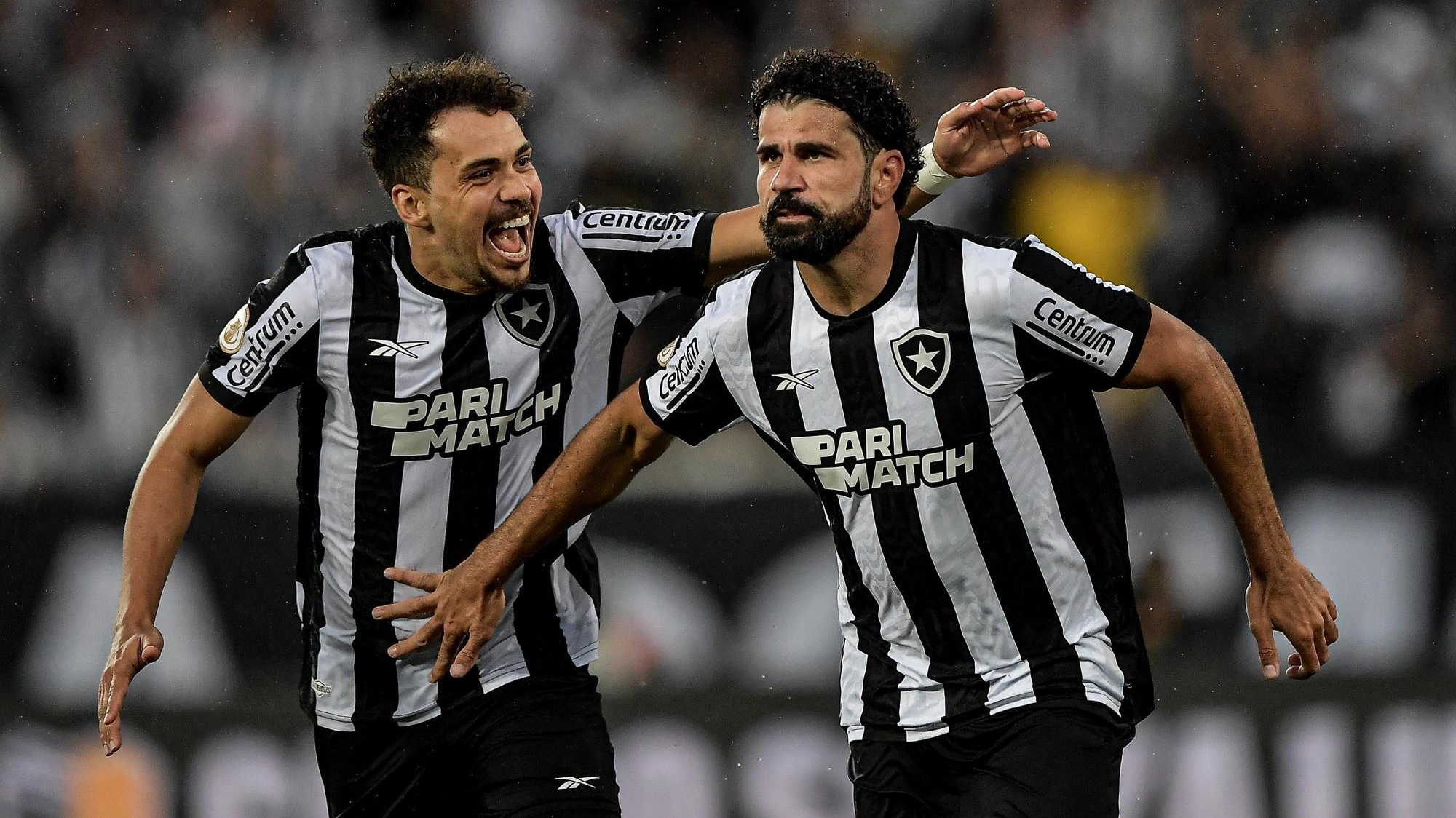 Botafogo goleia Bahia e aumenta invencibilidade no Nilton Santos Lorena Bueri