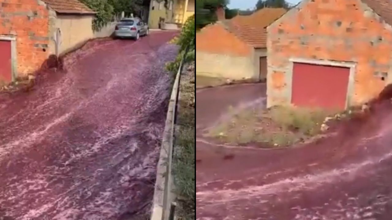 Destilaria em Portugal tem rompimento de depósito e ruas ficam alagadas com vinho Lorena Bueri