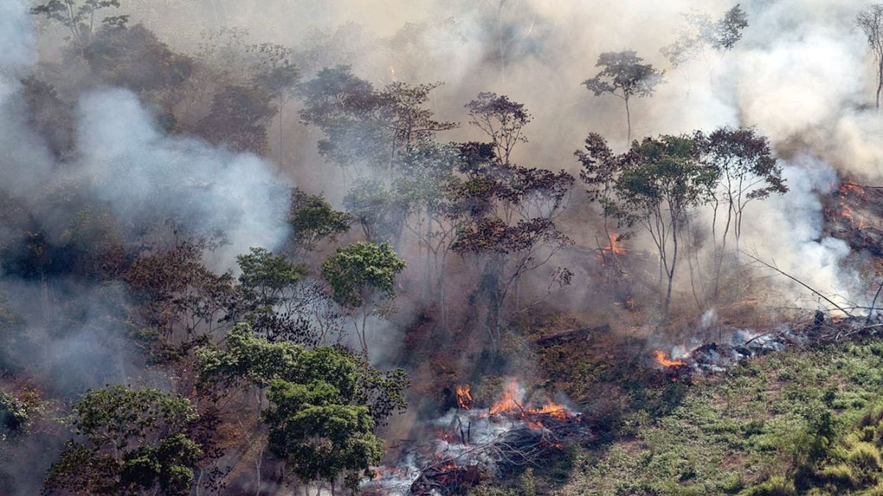 Taxa de focos de incêndio no Amazonas ultrapassa a média registrada em setembro  Lorena Bueri