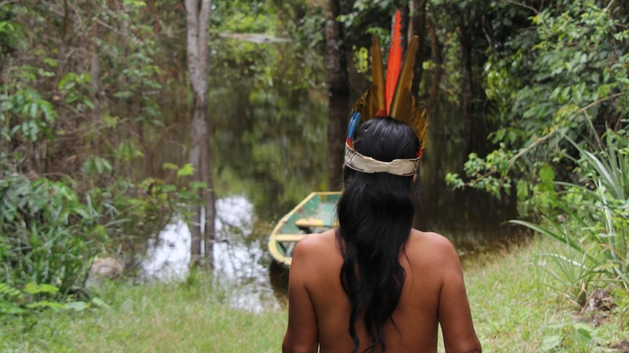 Garimpeiros amarram indígenas a troncos dentro de reserva yanomami Lorena Bueri