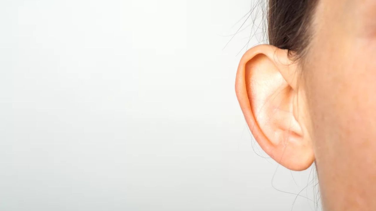 Prática de colar as orelhas proeminentes é perigosa; entenda Lorena Bueri