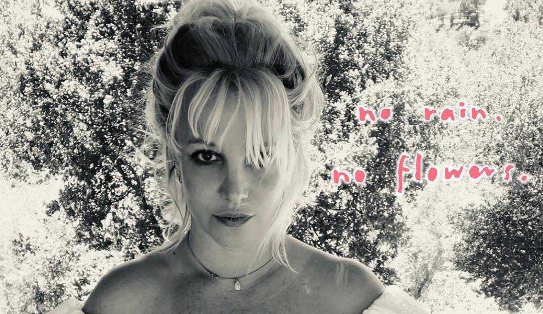 Juíza nega pedido de empresa para deixar a tutela parcial de Britney Spears Lorena Bueri