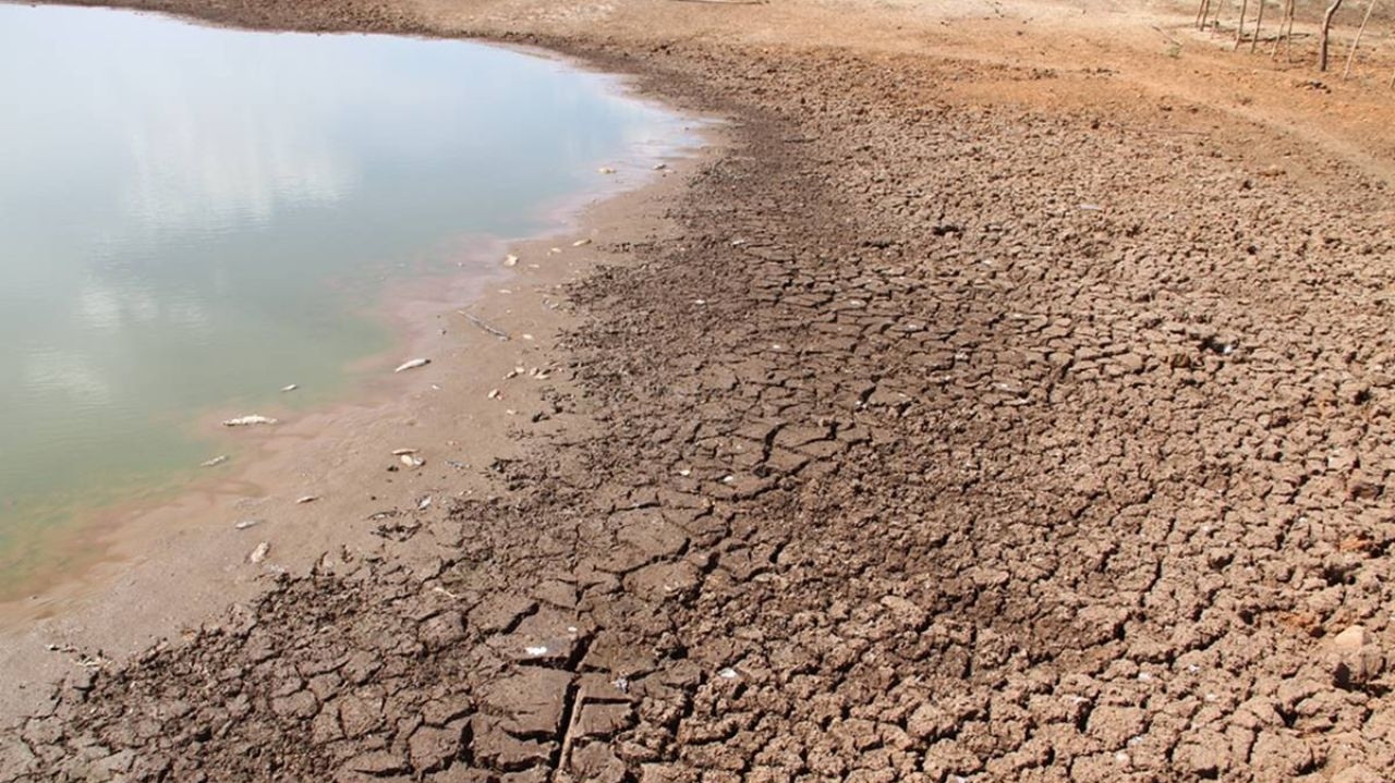 Estados do Piauí estão em alerta por conta de seca severa  Lorena Bueri